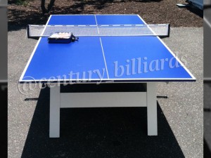 Ping Pong Custom 2      