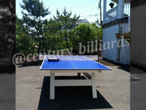 Ping Pong Custom 2 