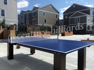 Ping Pong Custom 6    